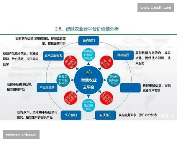 体育数据分析平台全方位提升运动表现助力专业与业余运动员精准决策